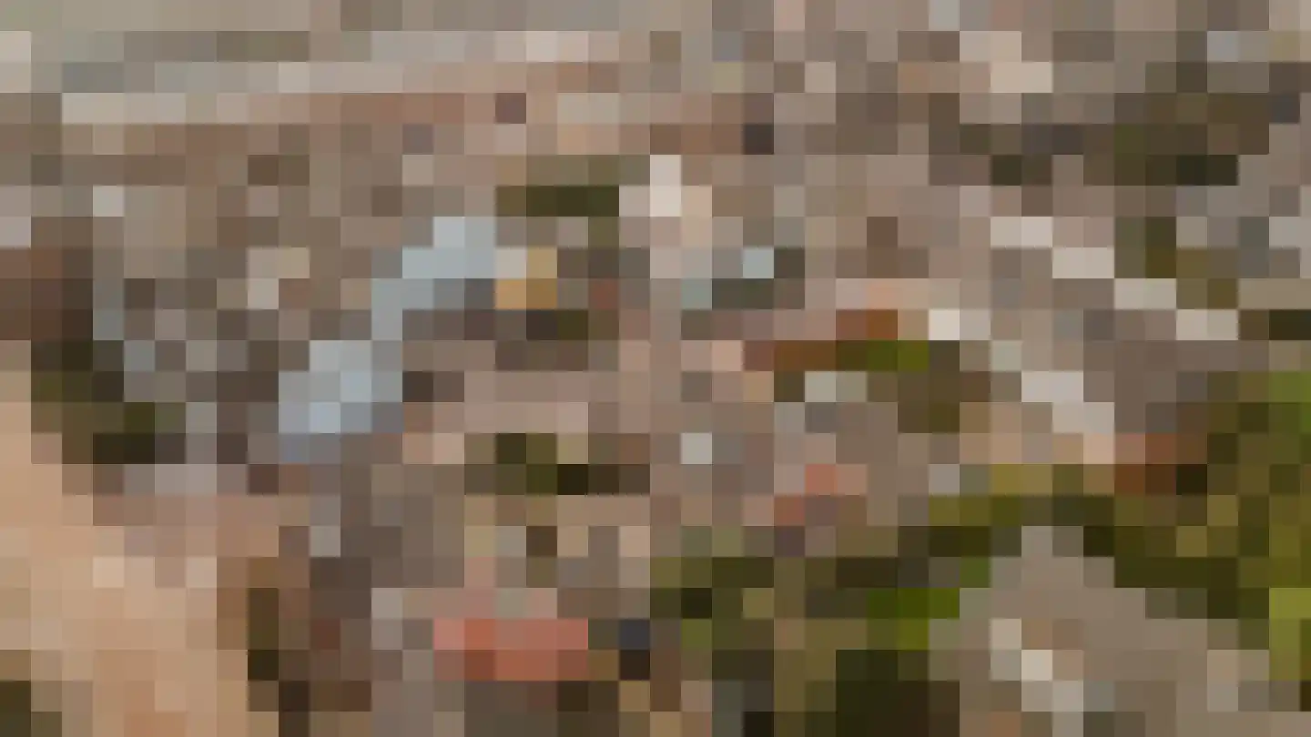 Langestraat 7 Huizen thumbnail 45