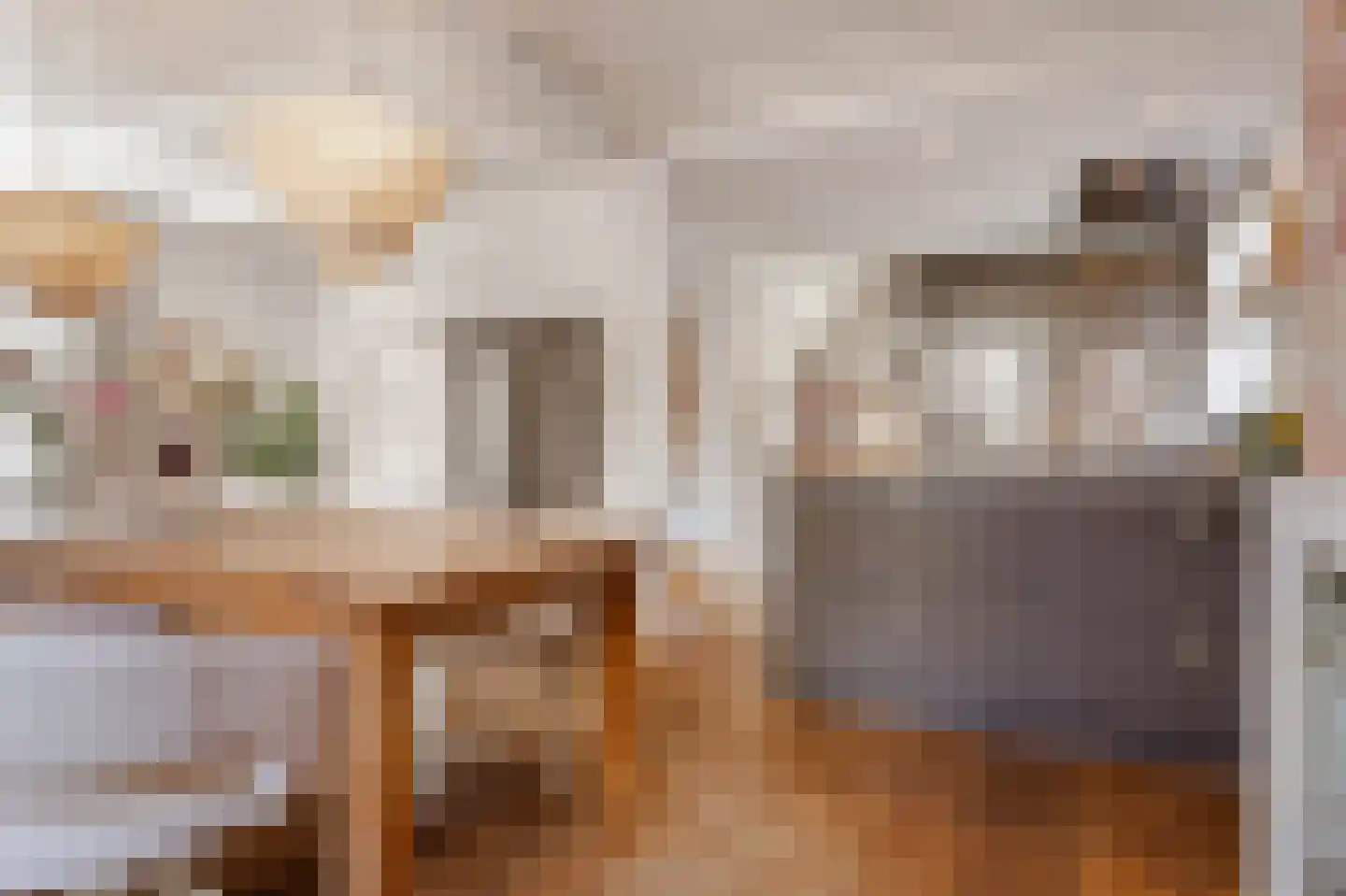 Langestraat 7 Huizen thumbnail 6