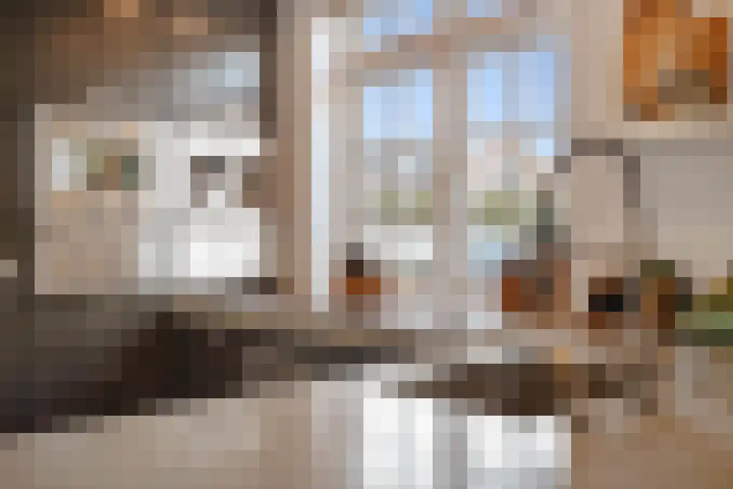 Langestraat 7 Huizen thumbnail 9