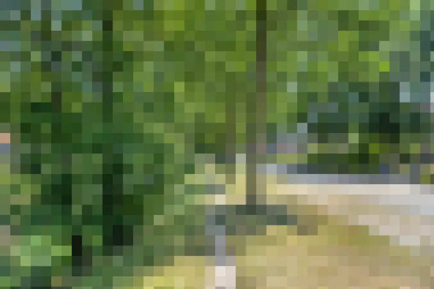 Langestraat 71 Klazienaveen thumbnail 32