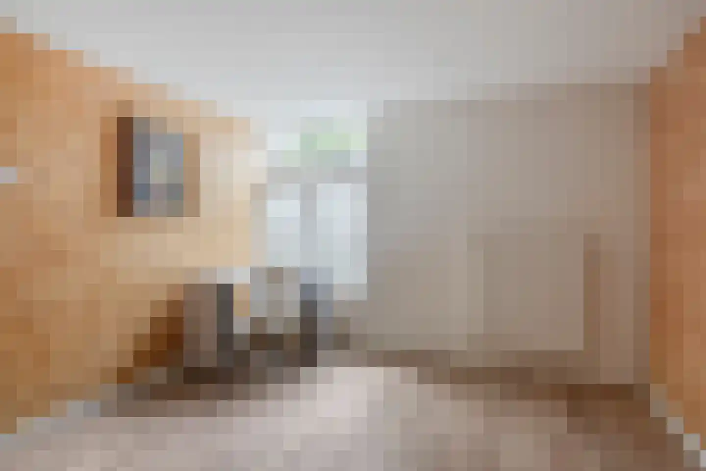 Langestraat 72 Brielle thumbnail 35