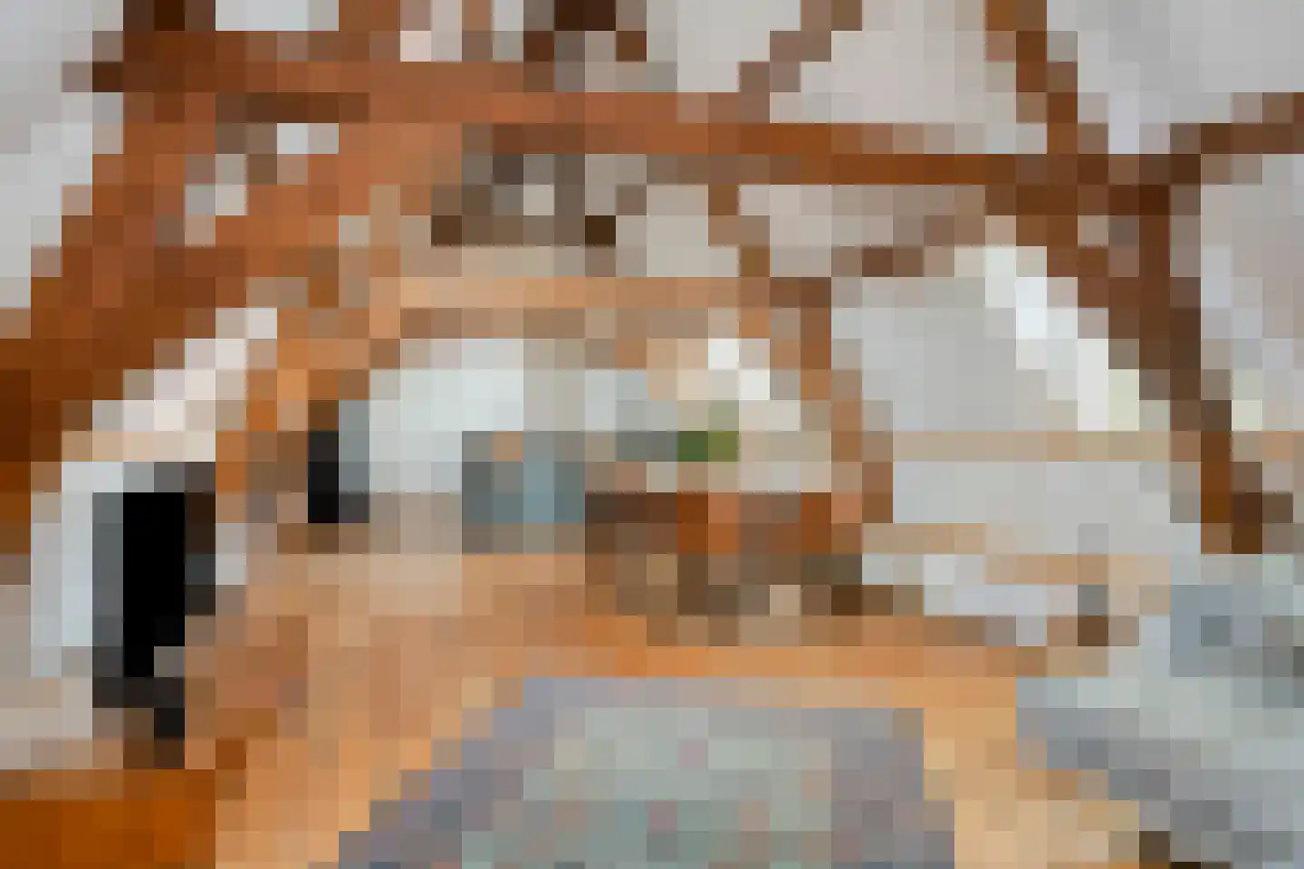 Langestraat 72 Brielle thumbnail 42