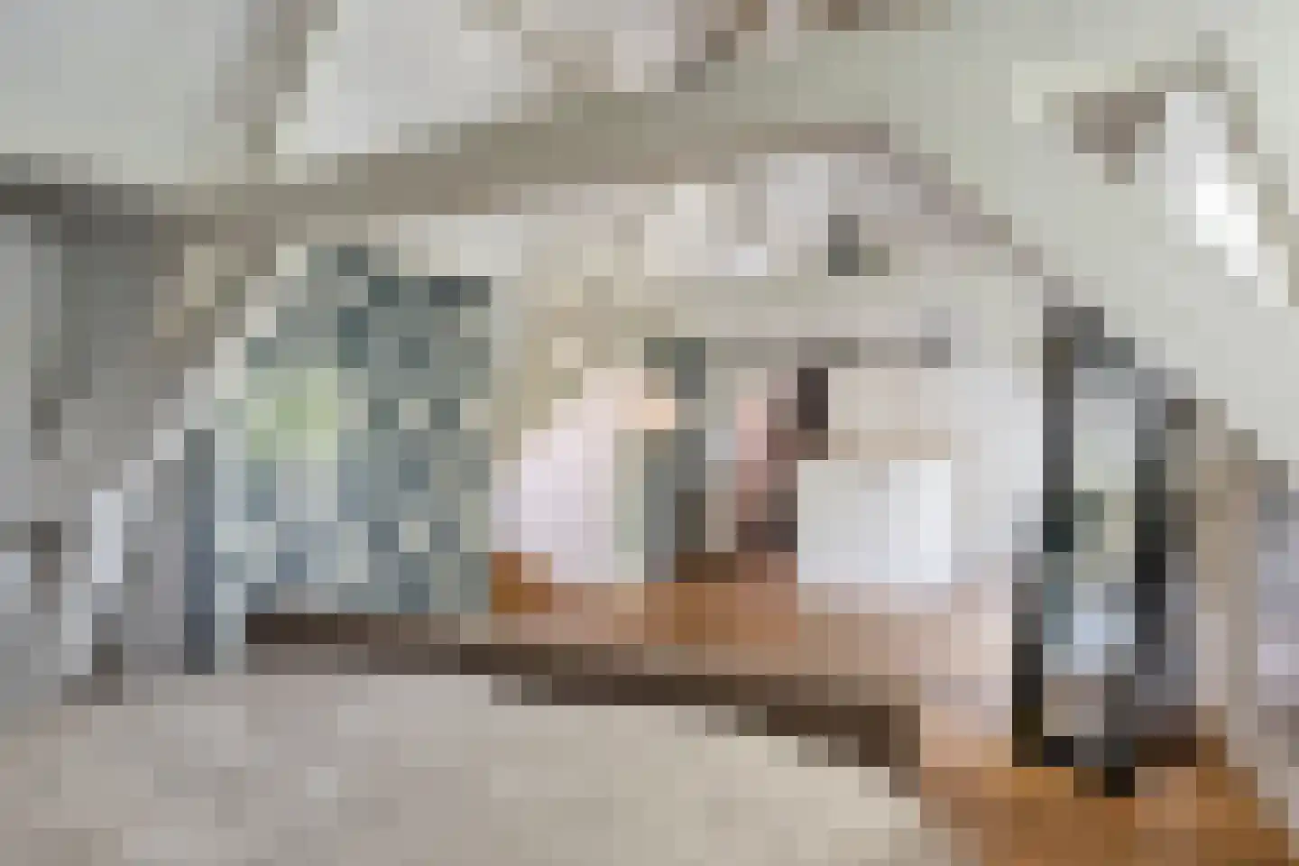 Langestraat 72 Brielle thumbnail 52