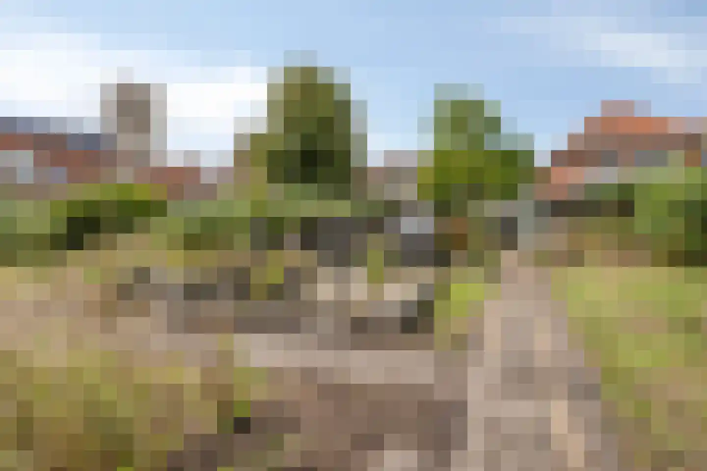Langestraat 72 Brielle thumbnail 65