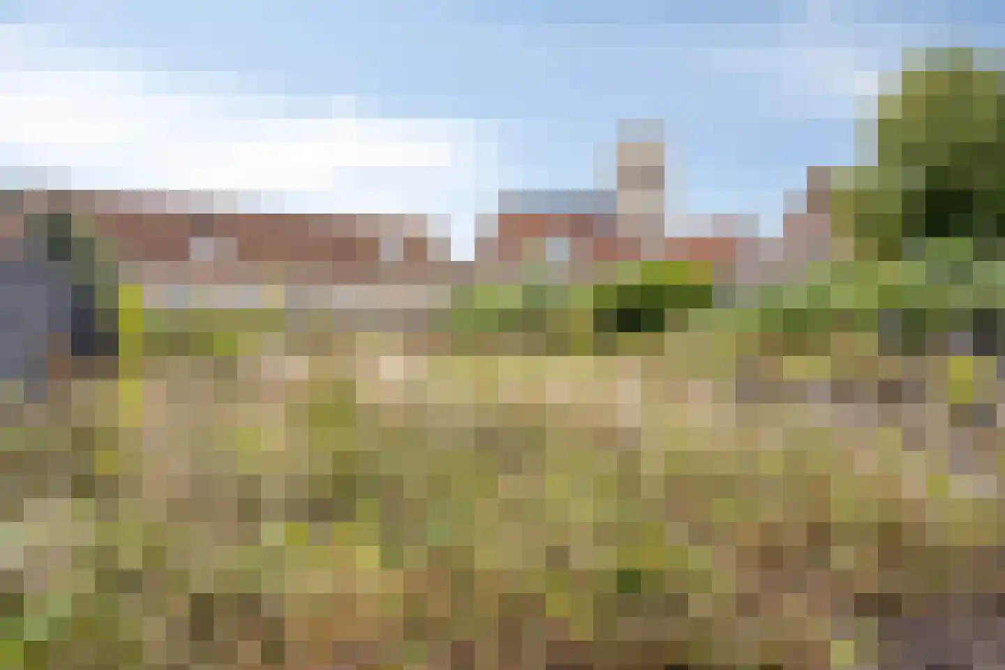 Langestraat 72 Brielle thumbnail 66