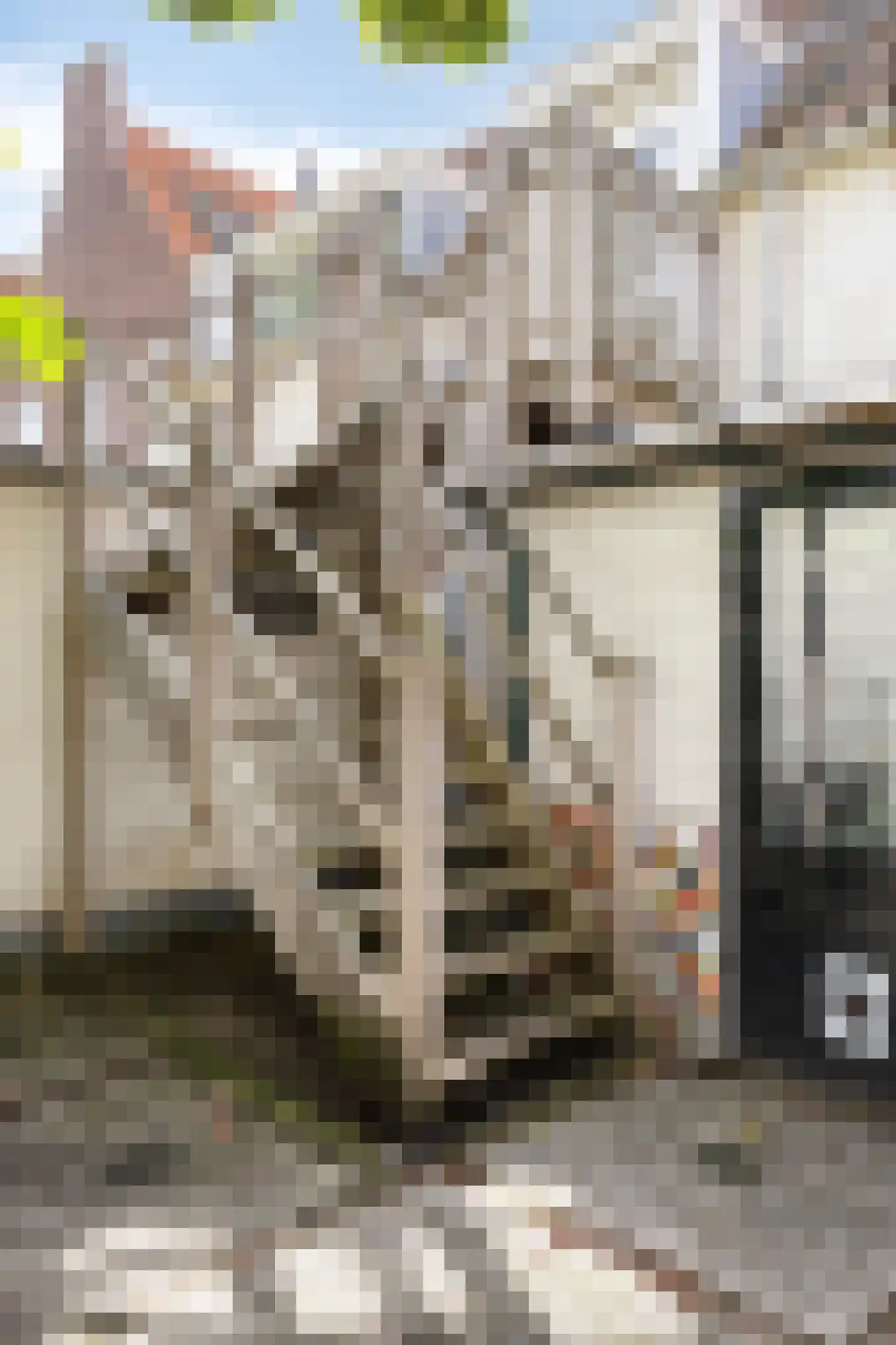 Langestraat 72 Brielle thumbnail 70