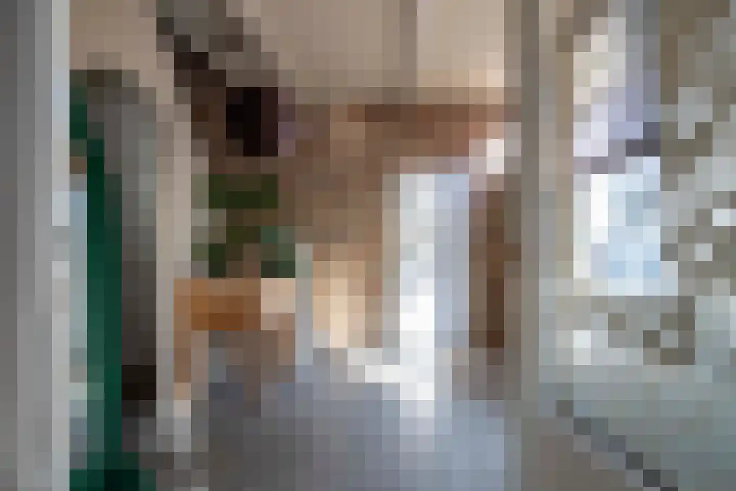Langestraat 76 Genemuiden thumbnail 10