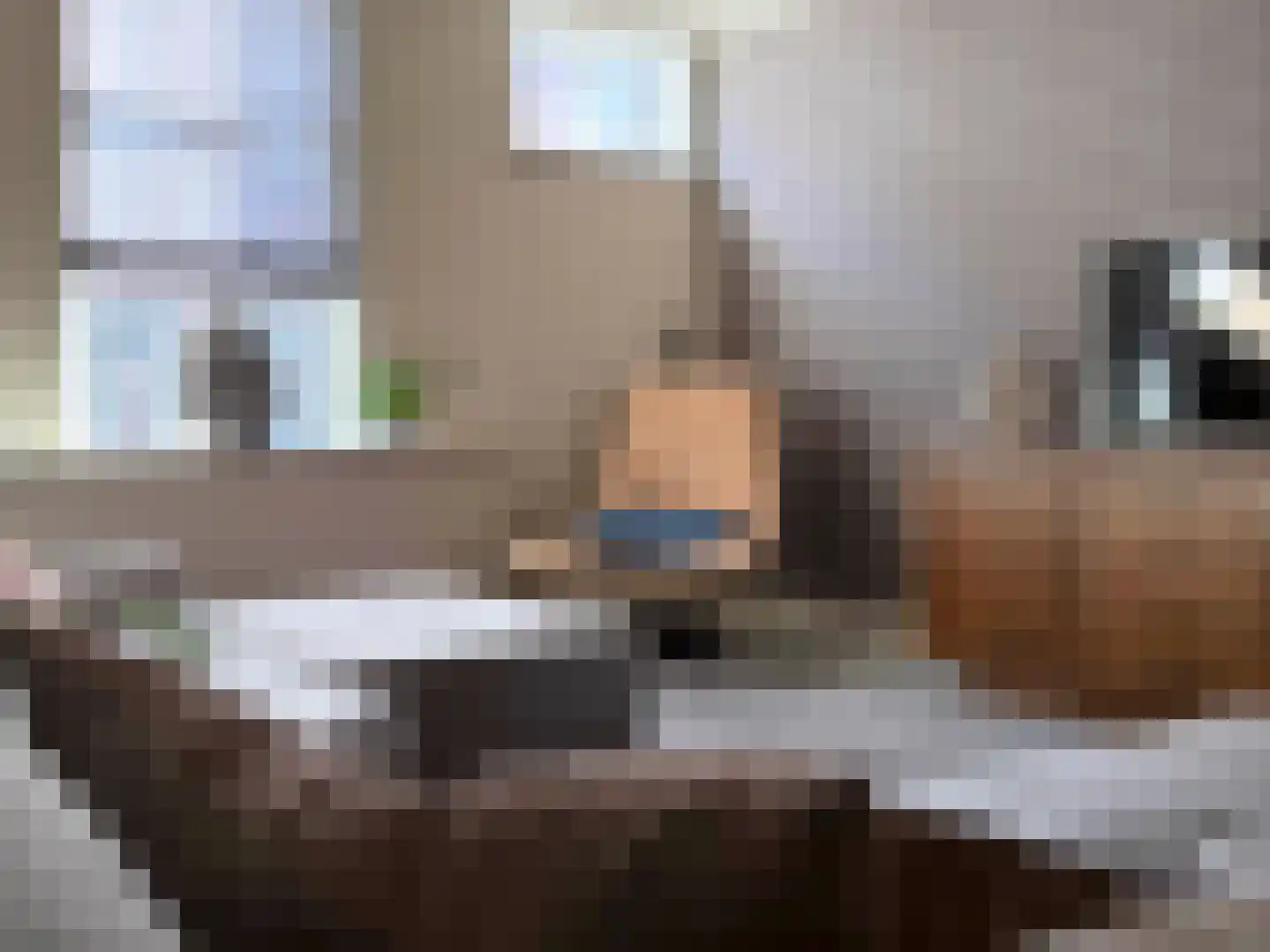 Langestraat 76 Genemuiden thumbnail 11