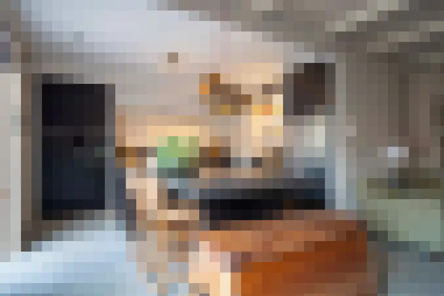 Langestraat 76 Genemuiden thumbnail 21