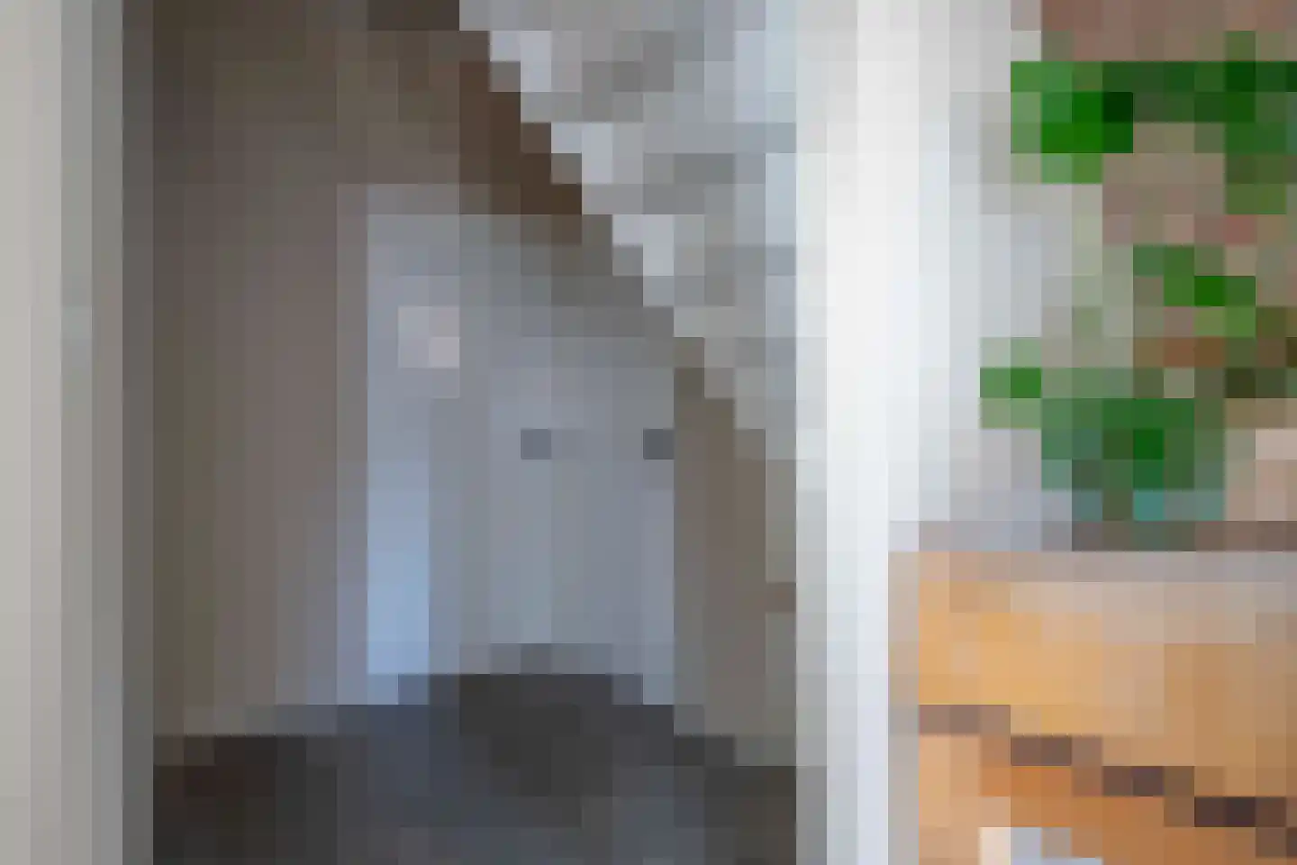 Langestraat 76 Genemuiden thumbnail 26