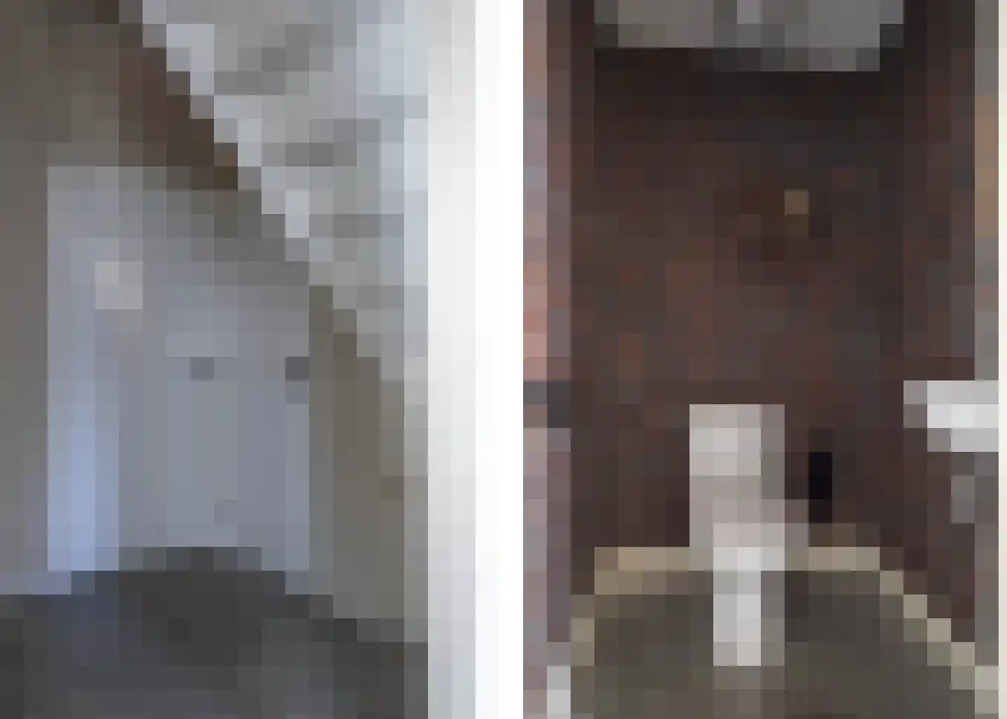 Langestraat 76 Genemuiden thumbnail 27