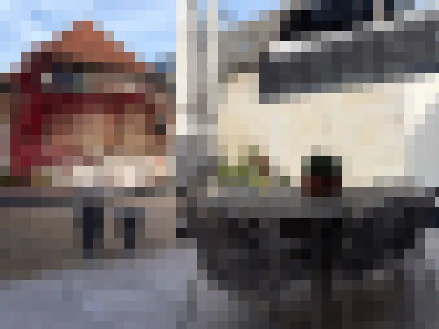Langestraat 76 Genemuiden thumbnail 31