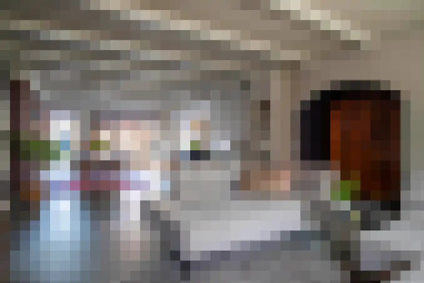 Langestraat 76 Genemuiden thumbnail 4