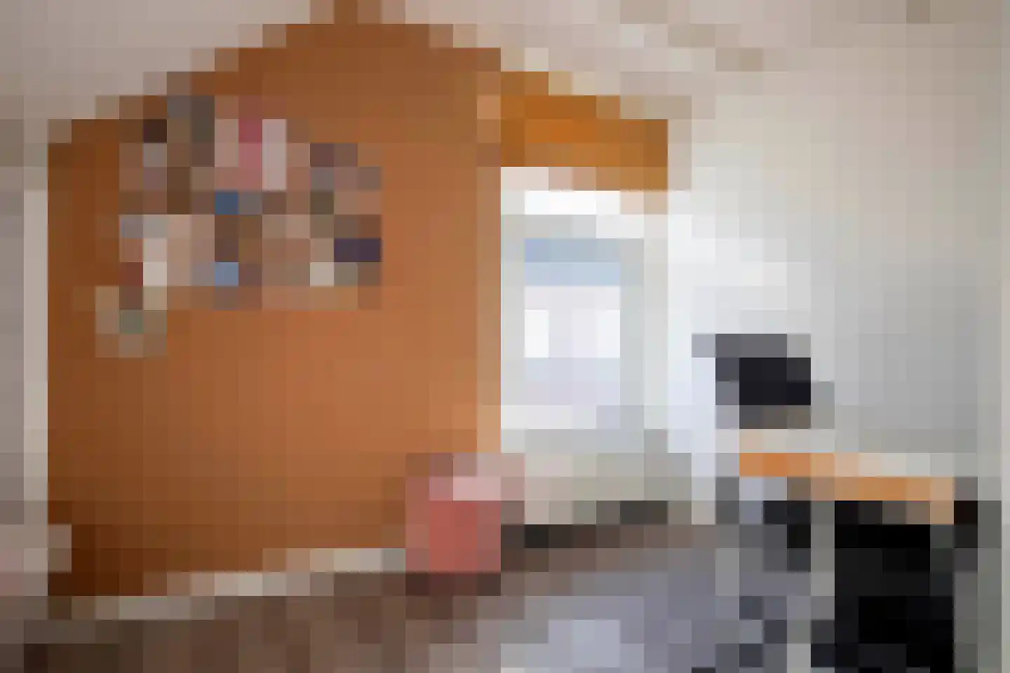 Langestraat 76 Genemuiden thumbnail 47