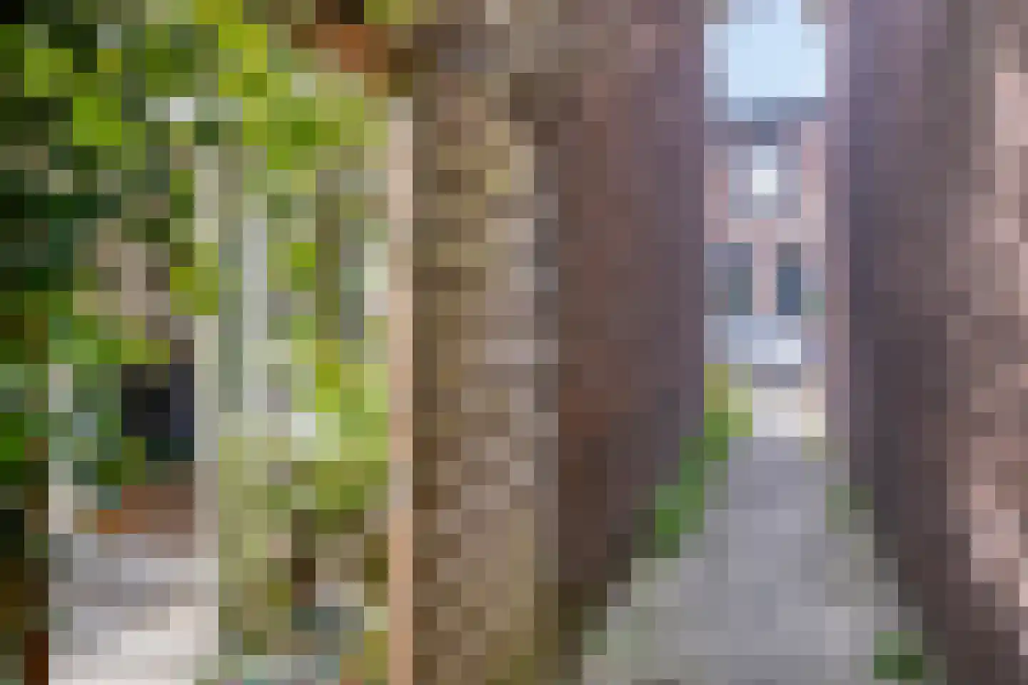 Langestraat 79 Deventer thumbnail 33