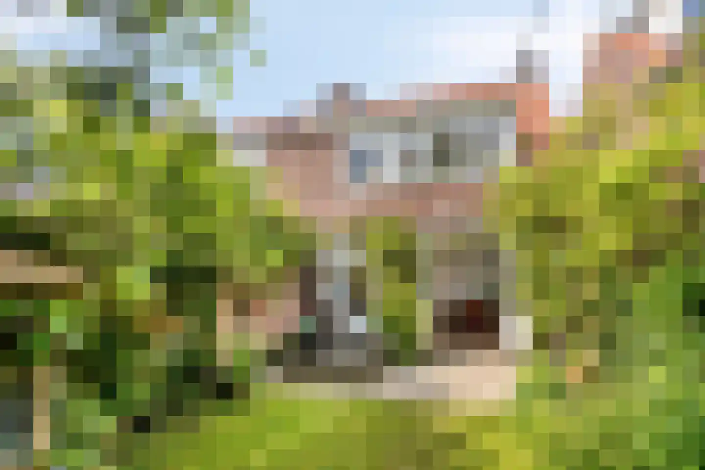 Langestraat 79 Deventer thumbnail 4