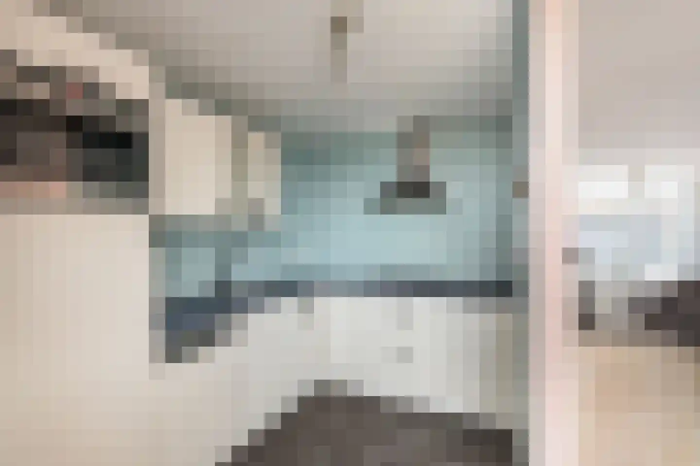 Langestraat 8 Poortvliet thumbnail 6