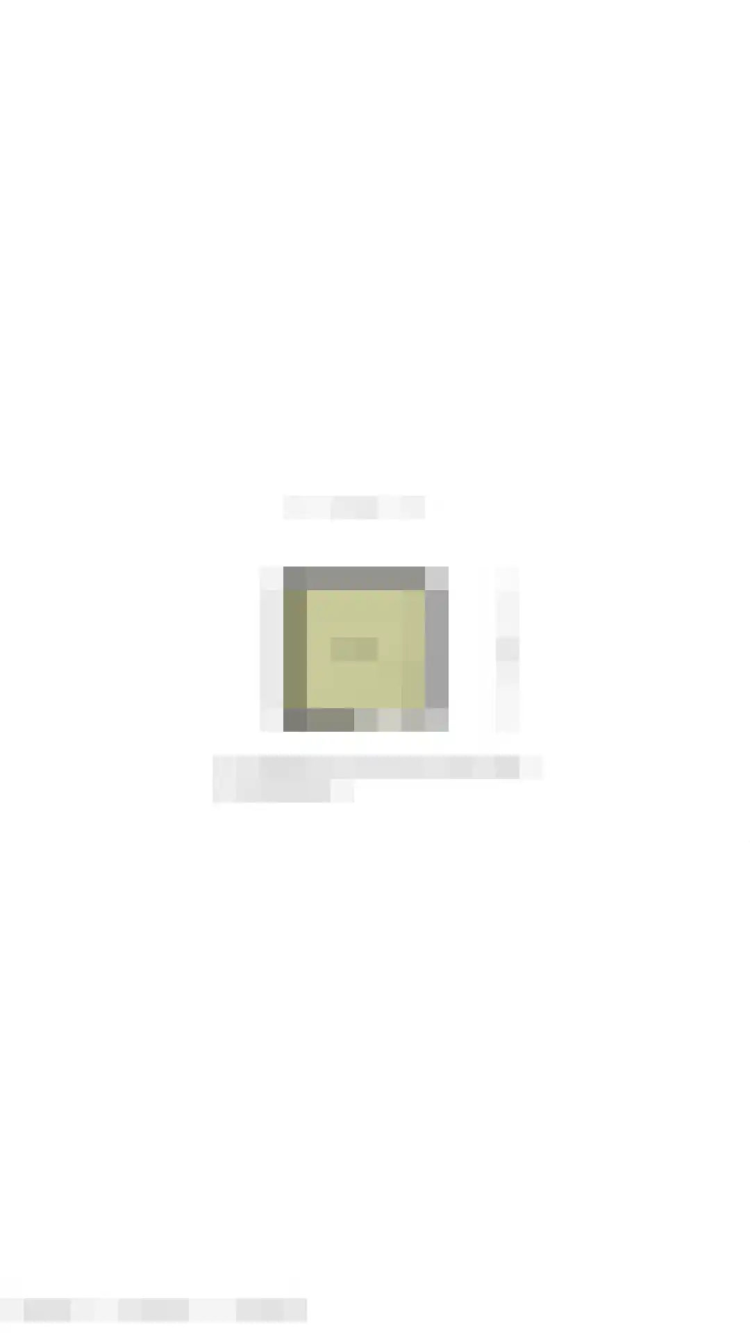 Langestraat 80 a 1 Delden thumbnail 37