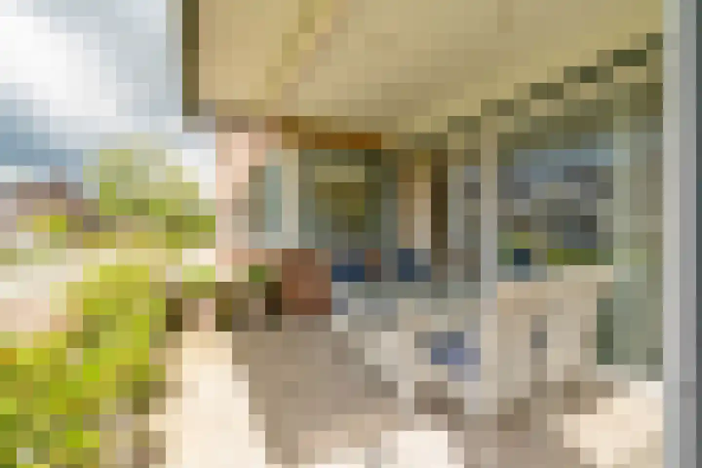Langestraat 80 a 1 Delden thumbnail 4