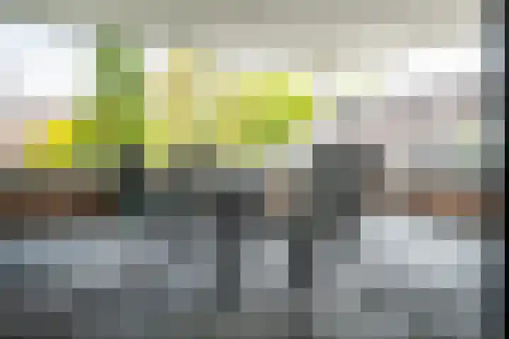 Langestraat 80 b 7 Delden thumbnail 42