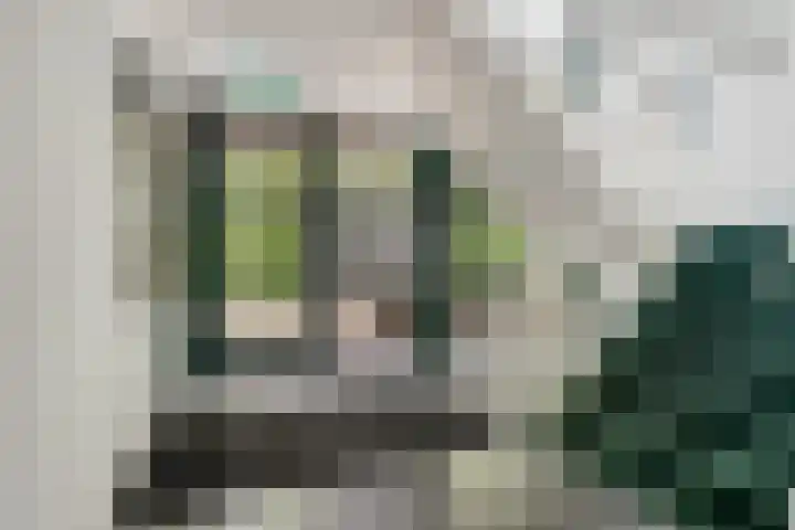 Langestraat 80 b 7 Delden thumbnail 9