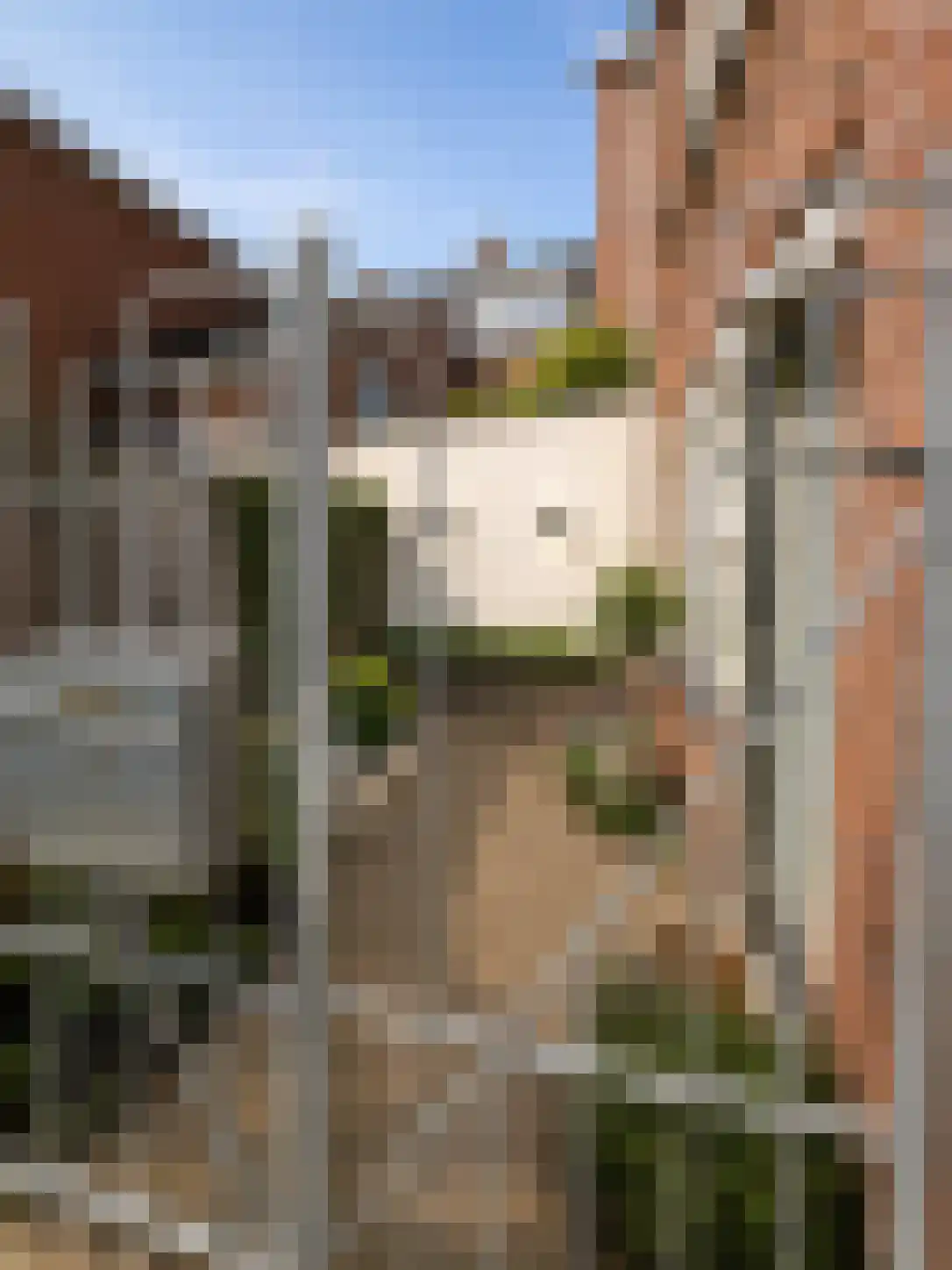 Langestraat 80 Tilburg thumbnail 5