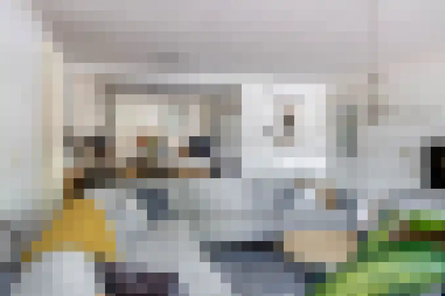 Langestraat 85 Brielle thumbnail 17