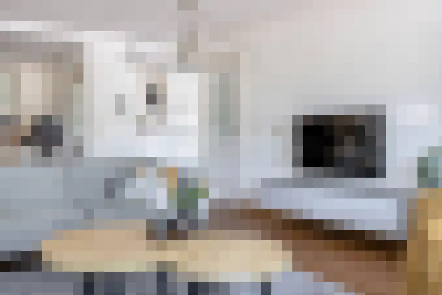 Langestraat 85 Brielle thumbnail 19