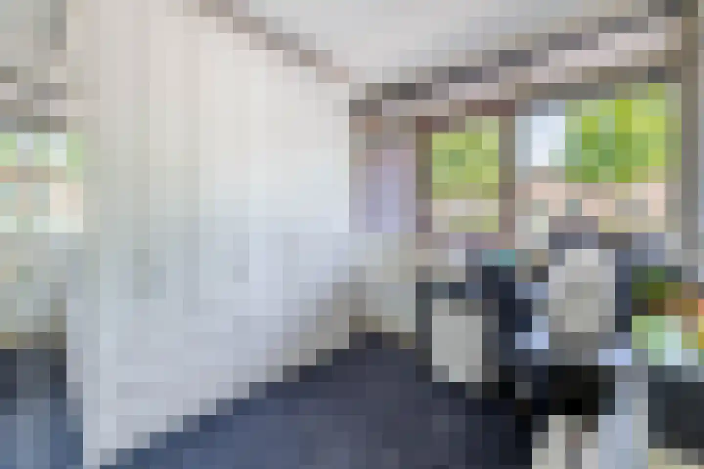 Langestraat 85 Brielle thumbnail 30