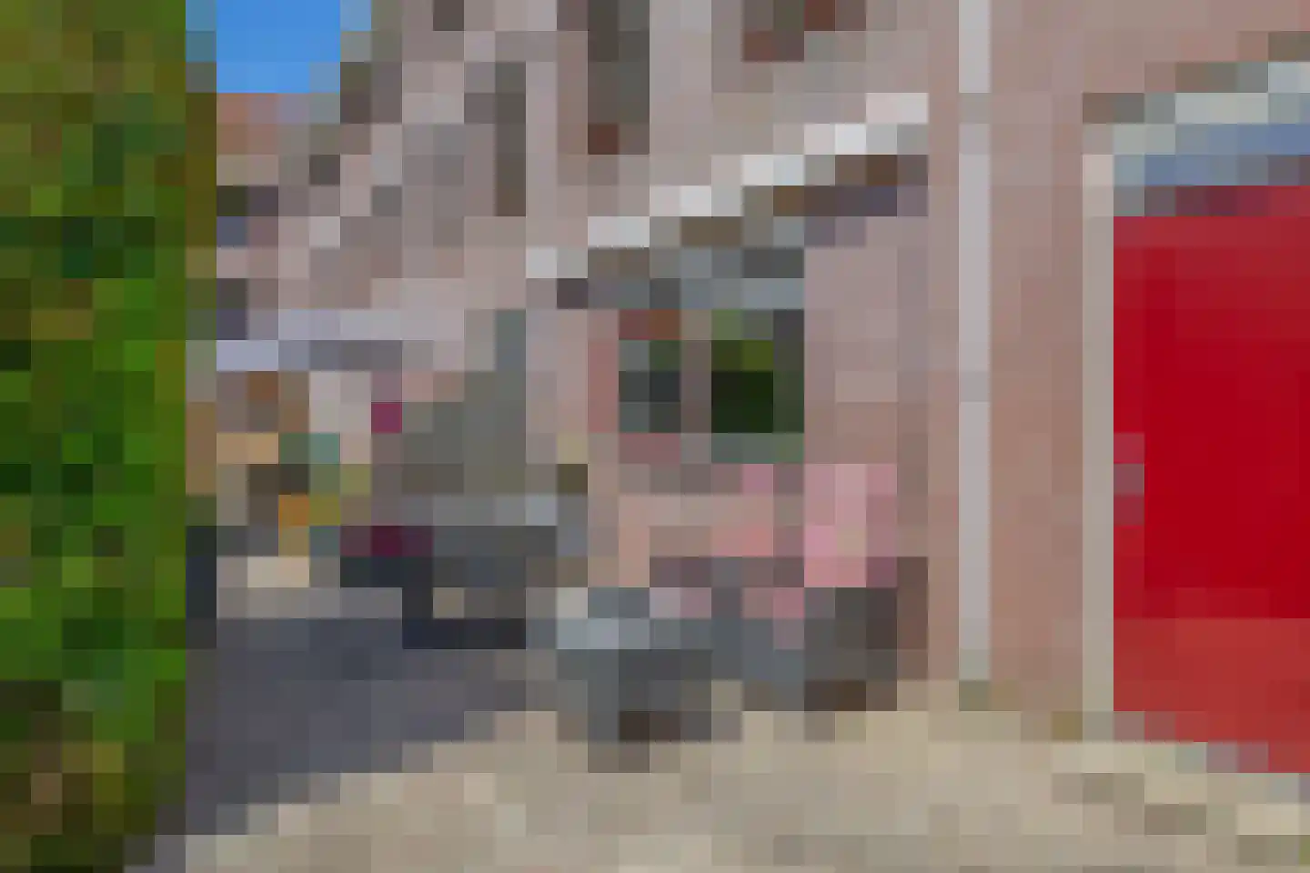 Langestraat 85 Brielle thumbnail 33