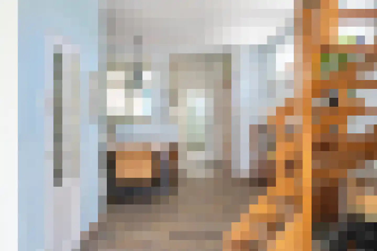 Langestraat 88 Zaandam thumbnail 7