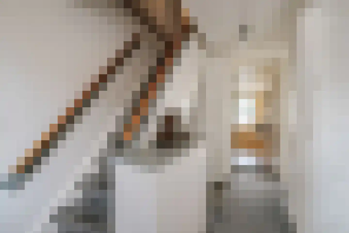 Langestraat 9 Deventer thumbnail 24