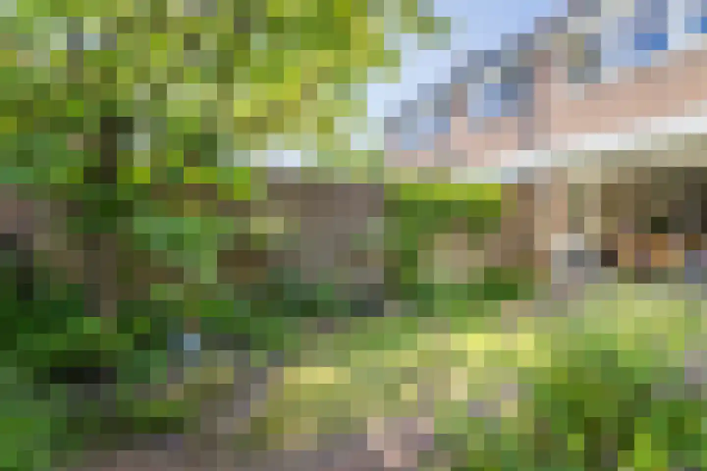 Langestraat 9 Deventer thumbnail 32