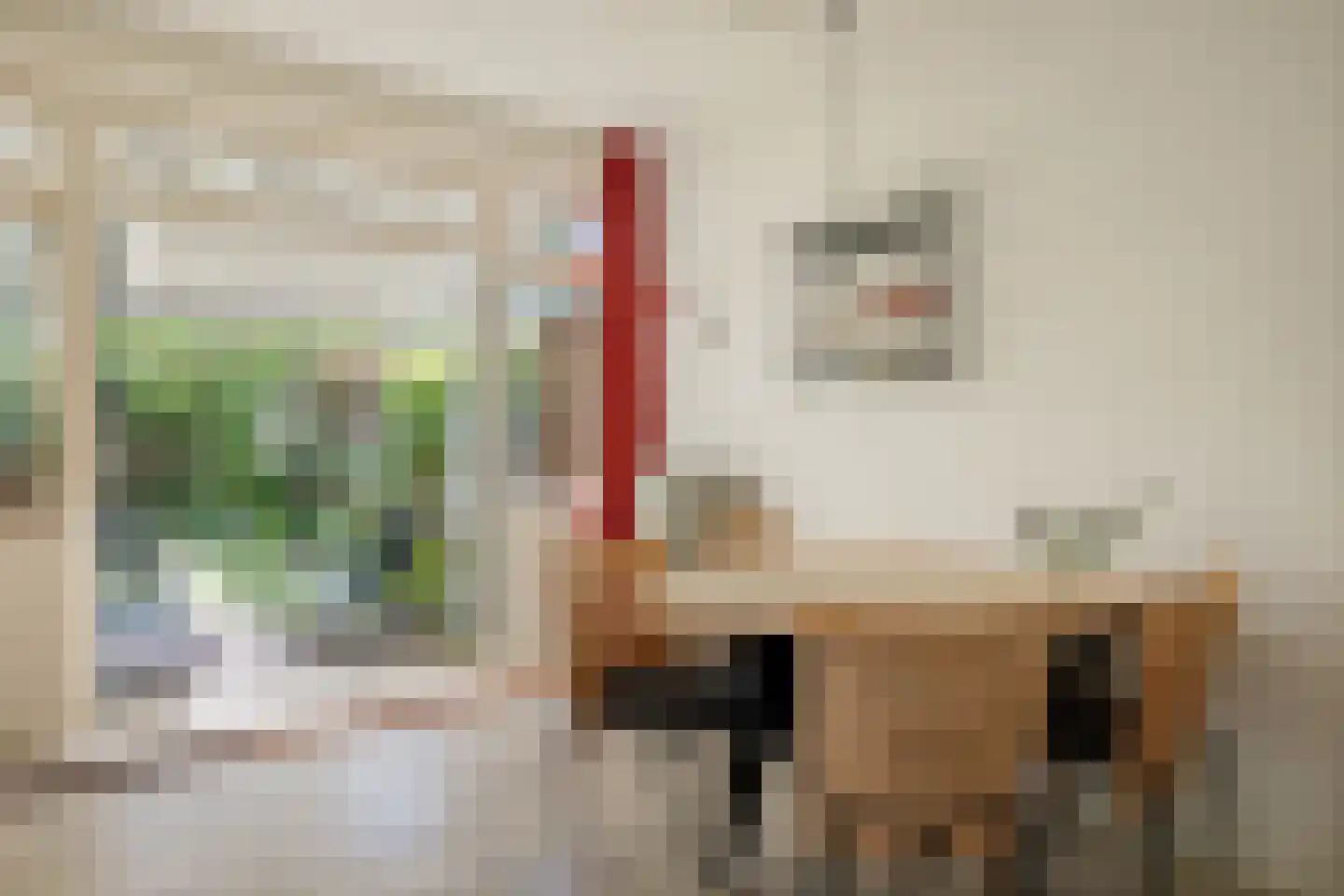 Langestraat 9 Deventer thumbnail 6