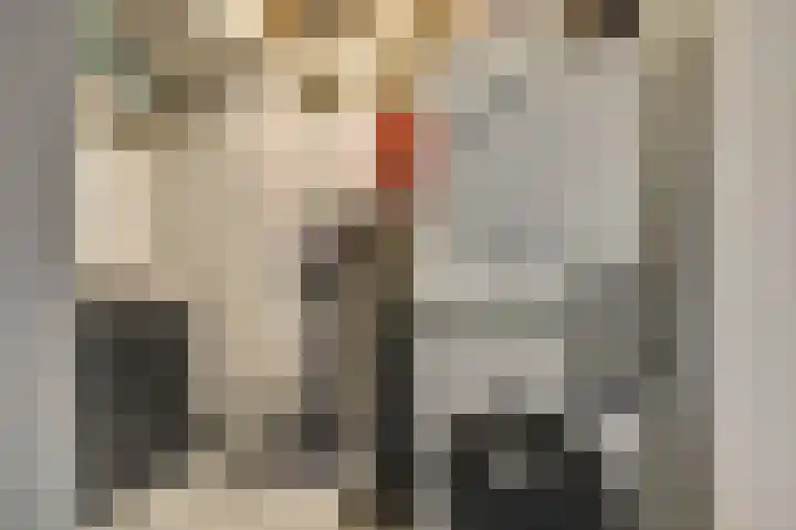 Langestraat 91 Brielle thumbnail 11