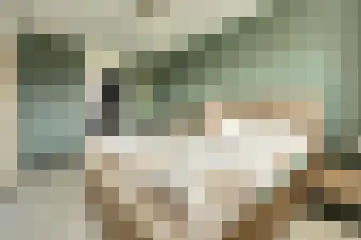 Langestraat 91 Brielle thumbnail 13