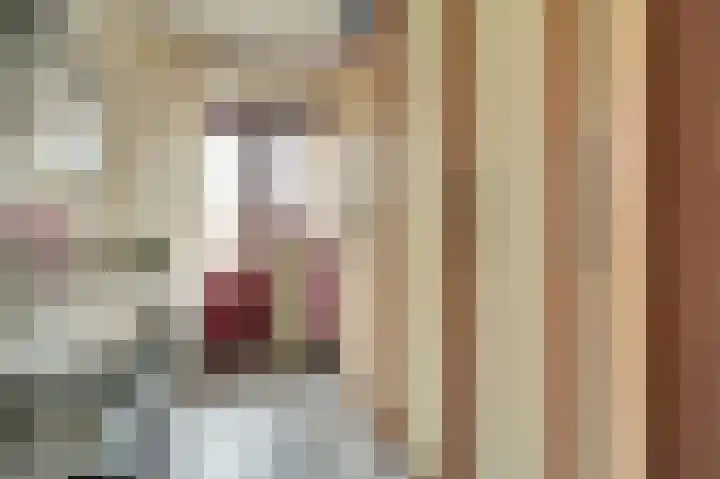 Langestraat 91 Brielle thumbnail 17