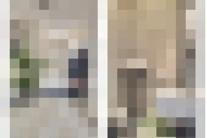 Langestraat 91 Brielle thumbnail 5