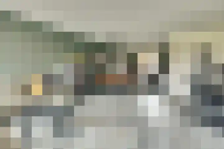 Langestraat 91 Brielle thumbnail 7