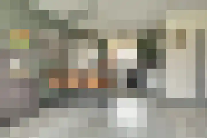 Langestraat 91 Brielle thumbnail 8