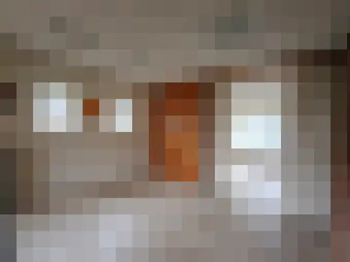 Langestraat 91 Delden thumbnail 4