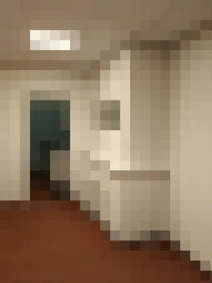 Langestraat 91 Delden thumbnail 5