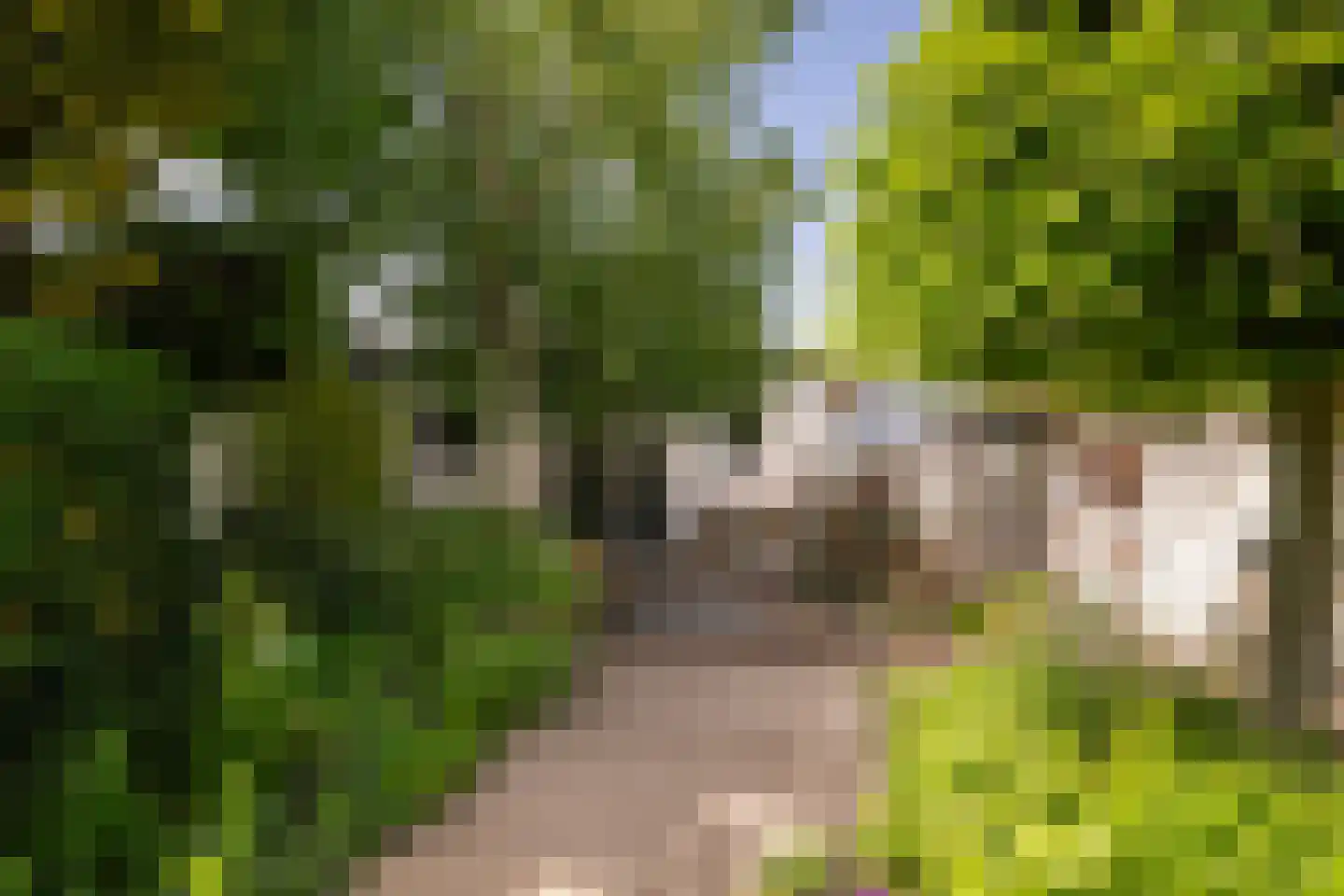 Langestraat 91 's-Gravenzande thumbnail 10
