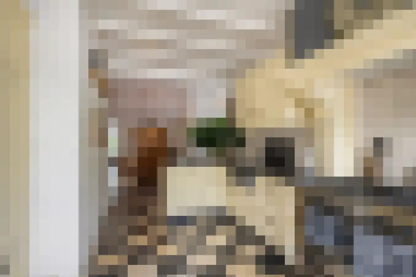 Langestraat 91 's-Gravenzande thumbnail 10