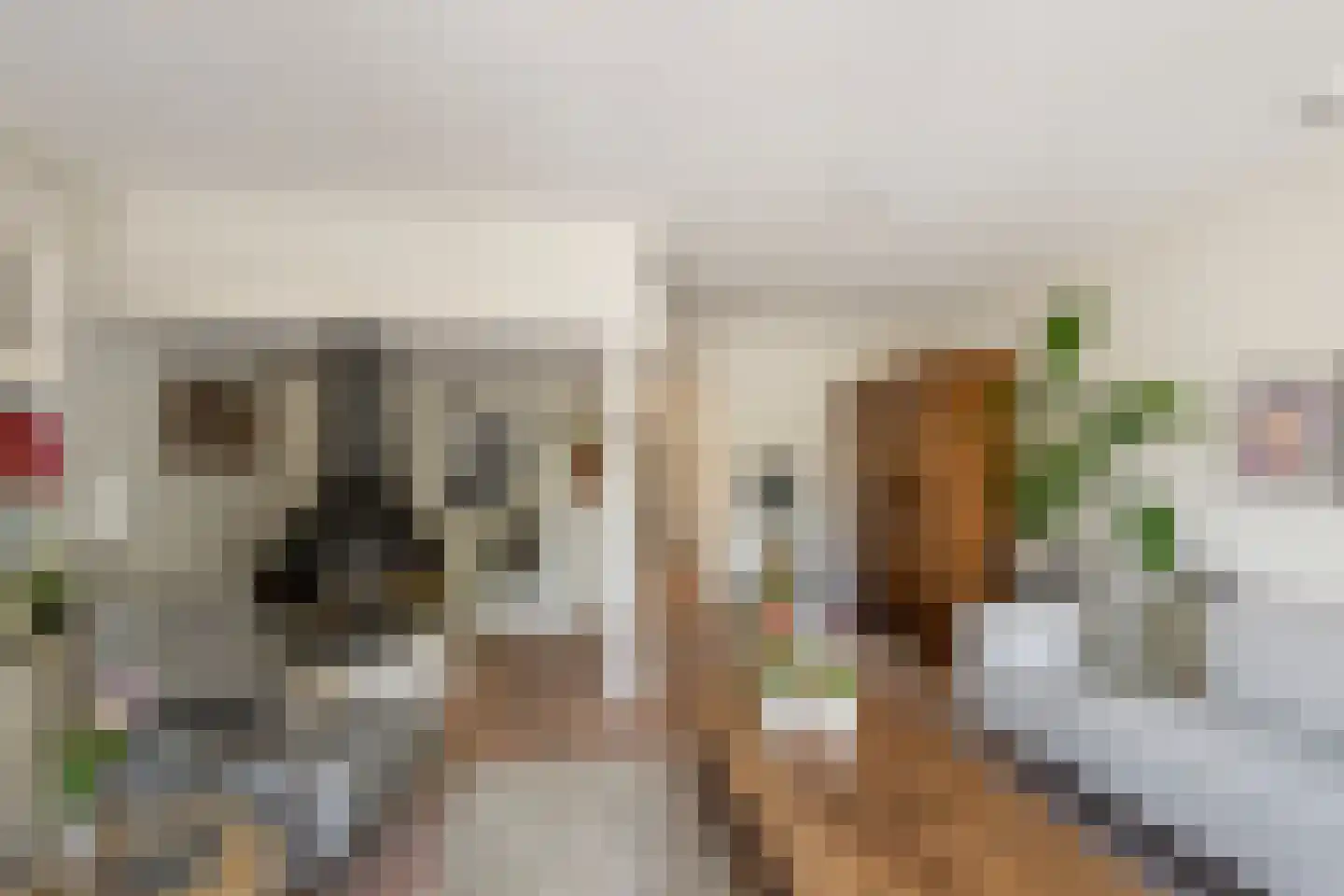 Langestraat 91 's-Gravenzande thumbnail 14