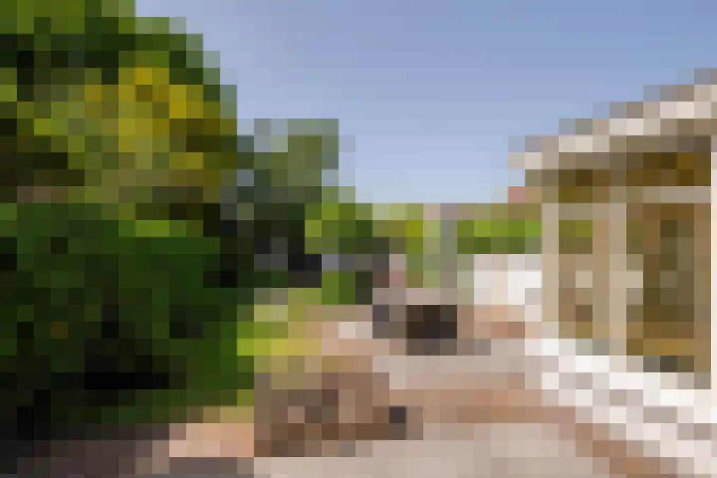 Langestraat 91 's-Gravenzande thumbnail 17