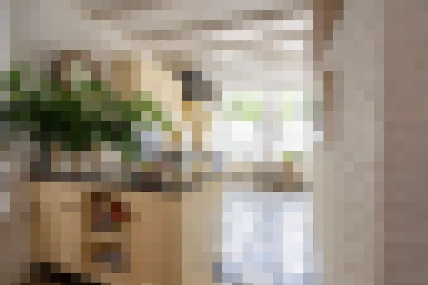 Langestraat 91 's-Gravenzande thumbnail 18