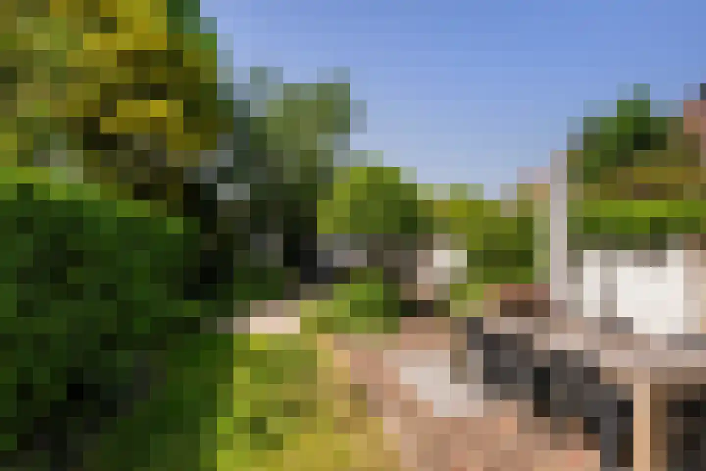 Langestraat 91 's-Gravenzande thumbnail 18