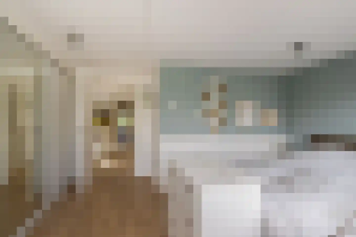 Langestraat 91 's-Gravenzande thumbnail 29