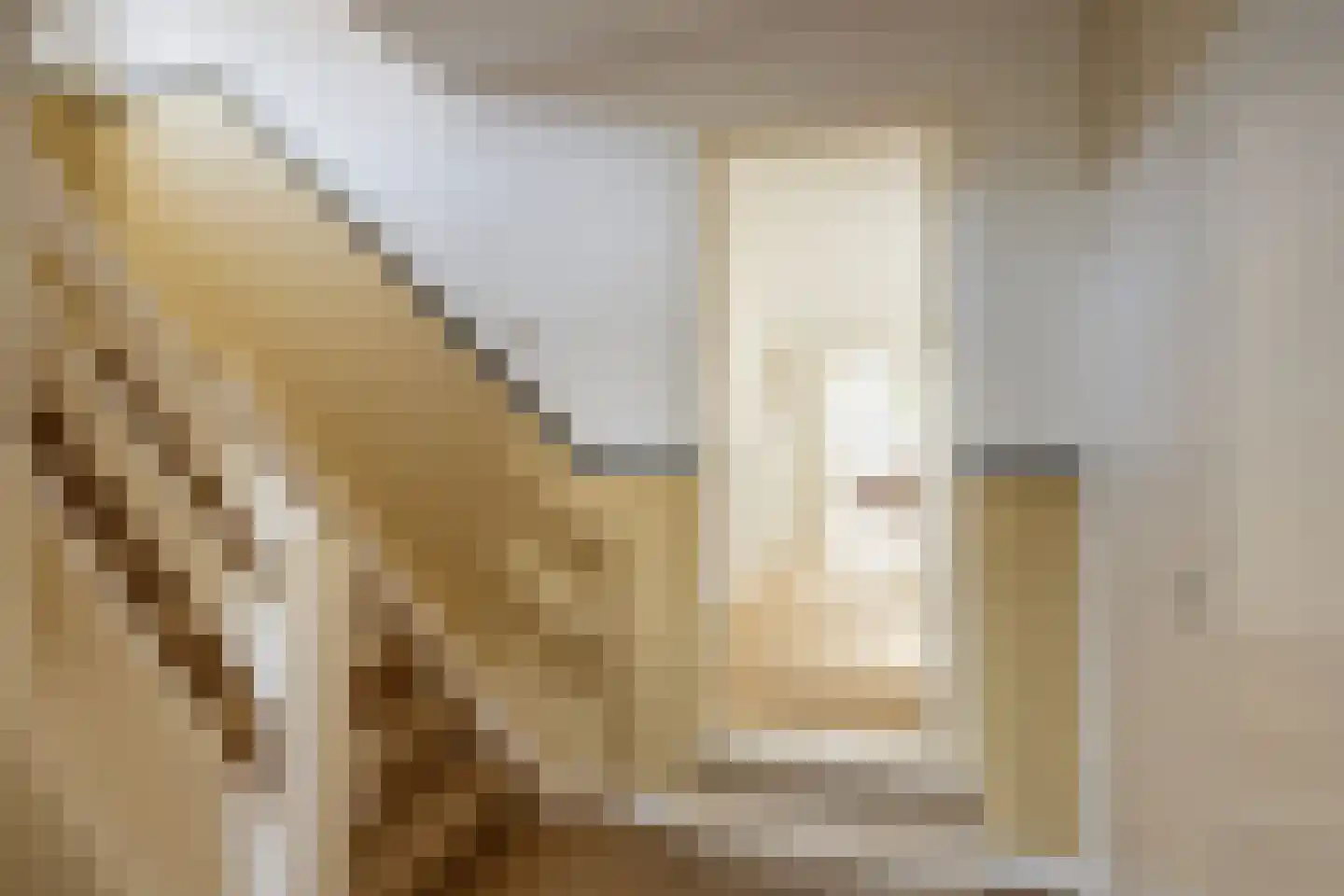 Langestraat 91 's-Gravenzande thumbnail 32